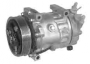 Sanden_50ec43749ac10